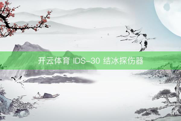 开云体育 IDS-30 结冰探伤器