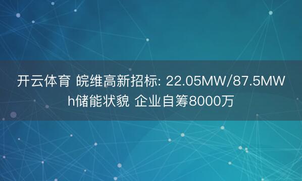 开云体育 皖维高新招标: 22.05MW/87.5MWh储能状貌 企业自筹8000万