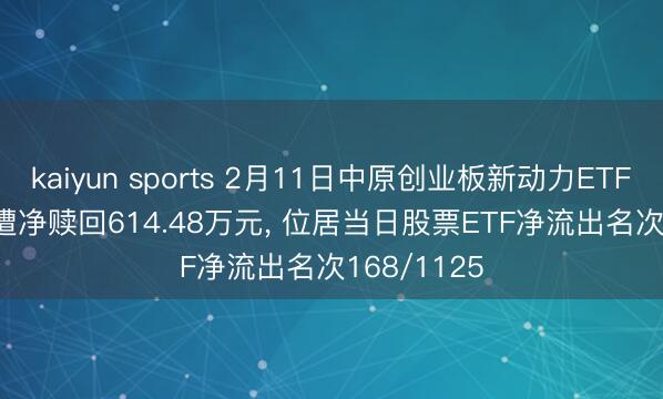 kaiyun sports 2月11日中原创业板新动力ETF(159368)遭净赎回614.48万元, 位居当日股票ETF净流出名次168/1125