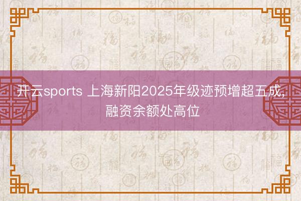 开云sports 上海新阳2025年级迹预增超五成, 融资余额处高位