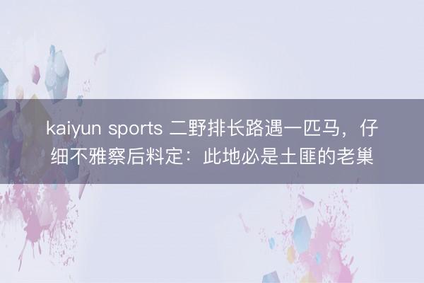kaiyun sports 二野排长路遇一匹马，仔细不雅察后料定：此地必是土匪的老巢