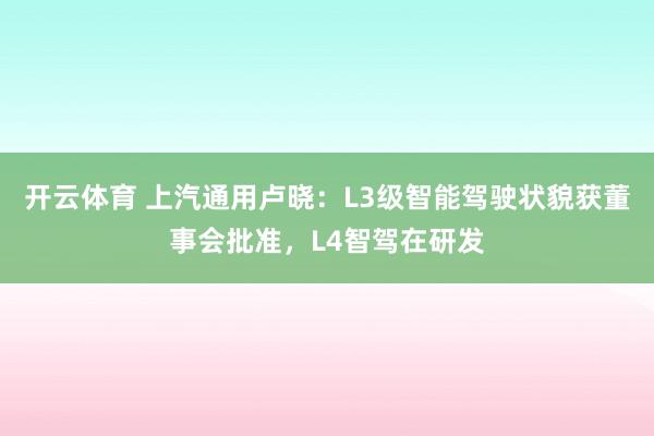 开云体育 上汽通用卢晓：L3级智能驾驶状貌获董事会批准，L4智驾在研发