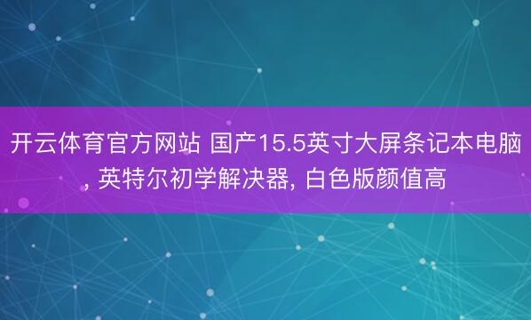 开云体育官方网站 国产15.5英寸大屏条记本电脑, 英特尔初学解决器, 白色版颜值高