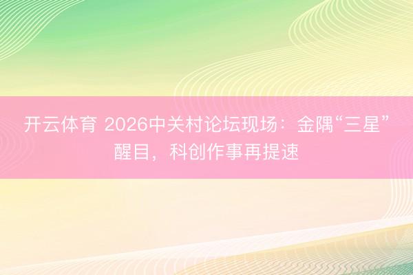 开云体育 2026中关村论坛现场：金隅“三星”醒目，科创作事再提速