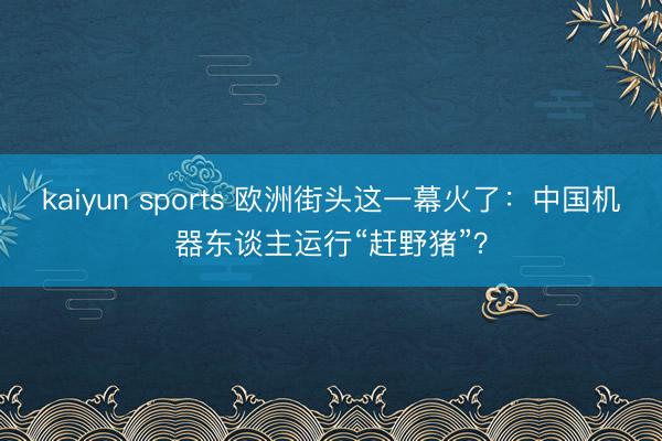 kaiyun sports 欧洲街头这一幕火了：中国机器东谈主运行“赶野猪”？