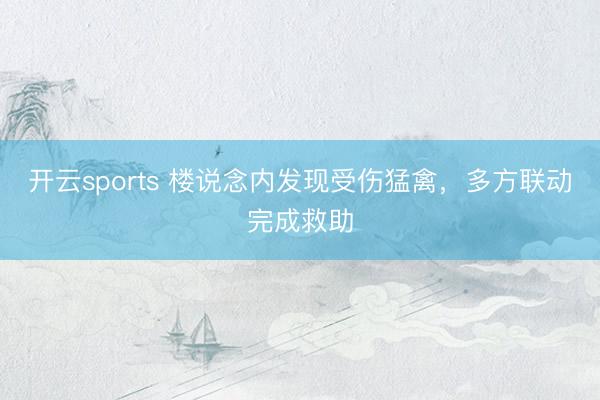 开云sports 楼说念内发现受伤猛禽，多方联动完成救助
